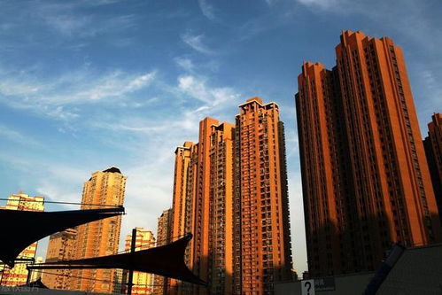 金九 過半,上海樓市量?jī)r(jià)齊跌,想割韭菜早已沒那么容易