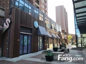 上海松江300-500萬商鋪投資指南 高性價比商業(yè)地產(chǎn)精選推薦